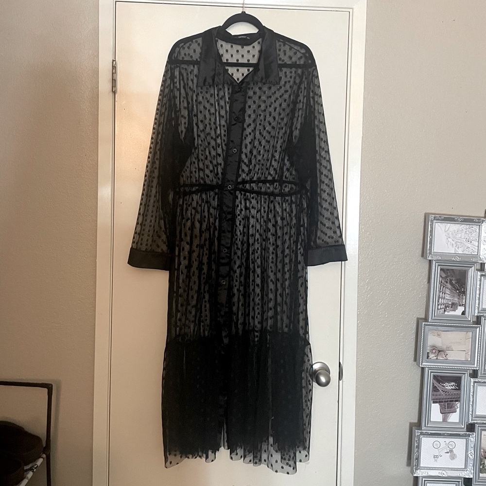 Black Mesh Swiss Dot Dress